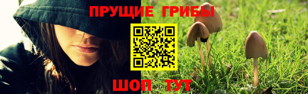 Янаул  Псилоцибиновые грибы Cubensis  наркотики  Вход с VPN 